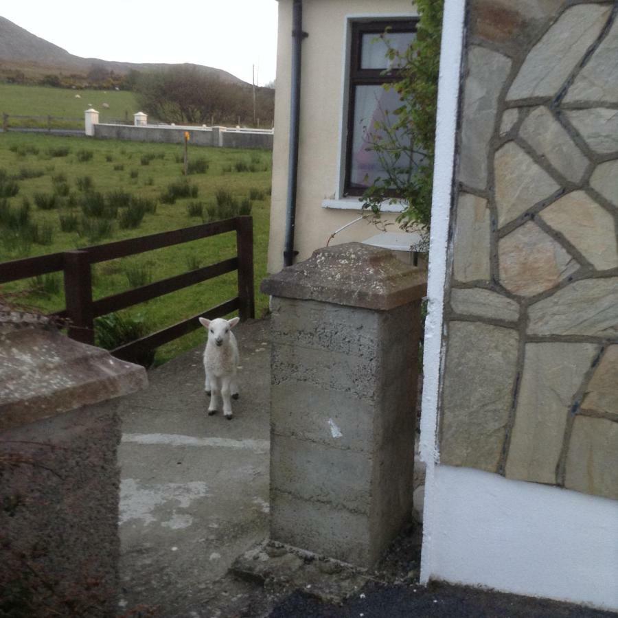 Sea View Chalet Kilsallagh Westport Co Mayo 외부 사진