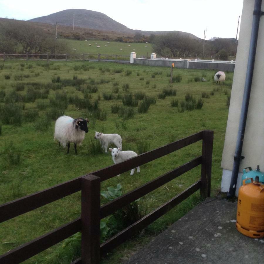 Sea View Chalet Kilsallagh Westport Co Mayo 외부 사진